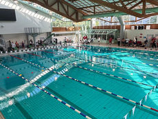 Bestzeiten und hervorragende Platzierungen für unsere Schwimmer und Schwimmerinnen bei den Kreismeisterschaften in Hildesheim