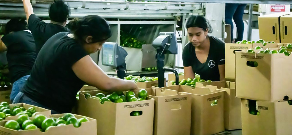 Imagen de WhatsApp 2025-09-13 a las 09.34.27_da3a5b52.jpg