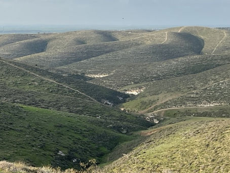 מי שלא ניווט בגבעות פורים - שיקום!