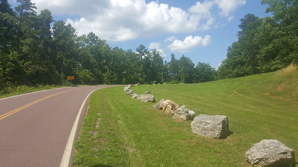 20180704_145241.jpg