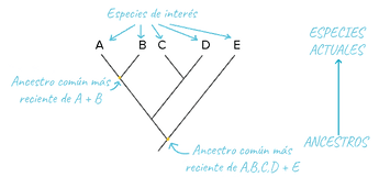 73423c83a02b3be381fc08360c4e8b4f409d1e2c.png