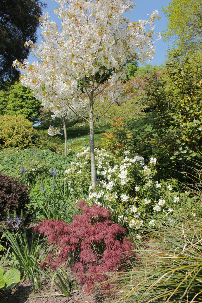 Colours of trees15.jpg