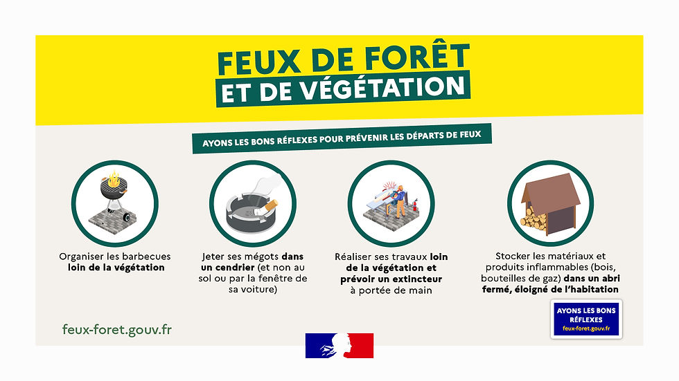 Débroussailler dans le Gard pour prévenir les incendies