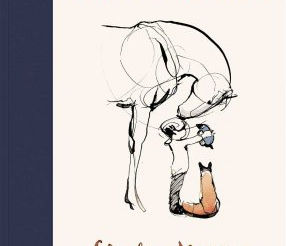 Snowdrop Sunday Enjoyed By Many