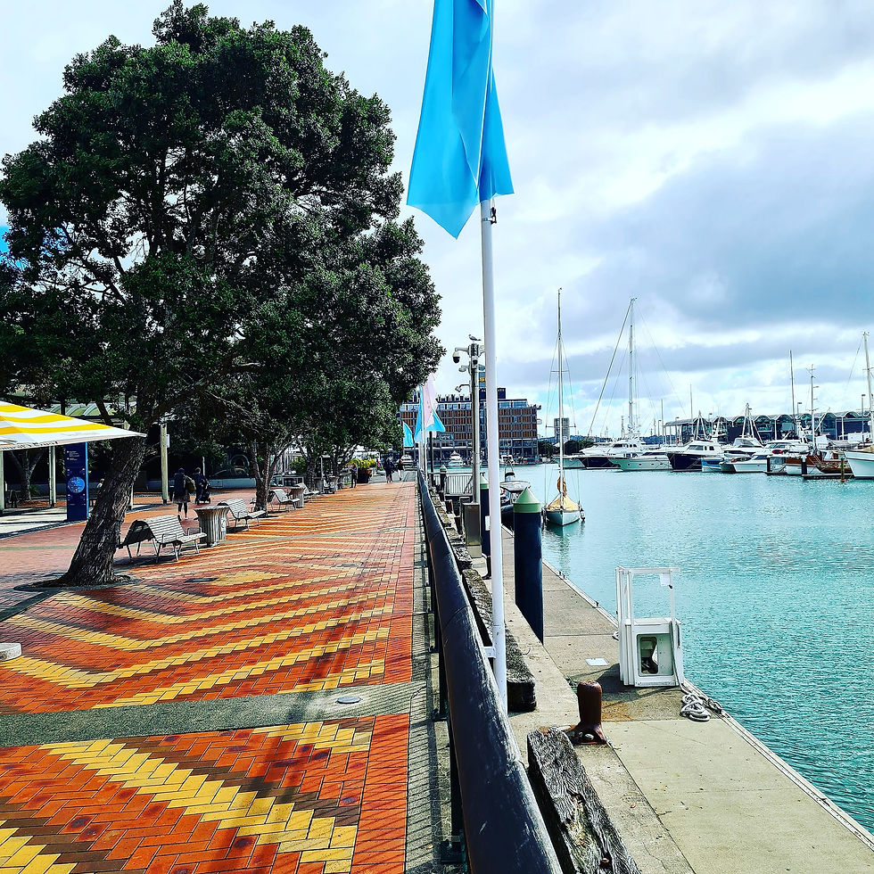 Why Auckland Council Is Wasting Your Rates on Overpriced Buildings