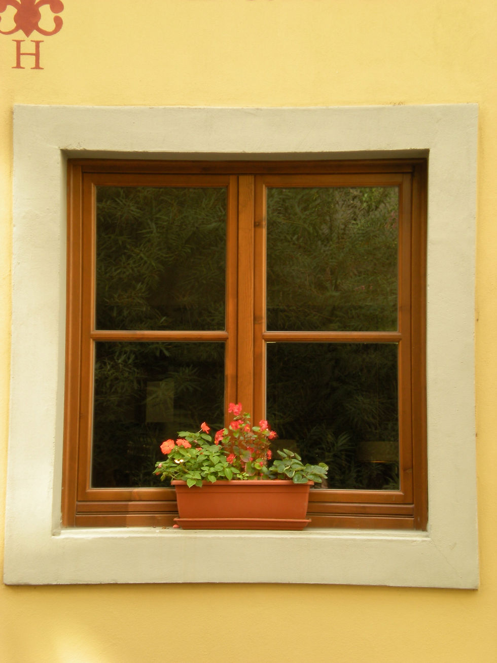 Window :: Lucca, Italy