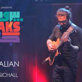 MEDIA & GALLERY | Comins Guitars