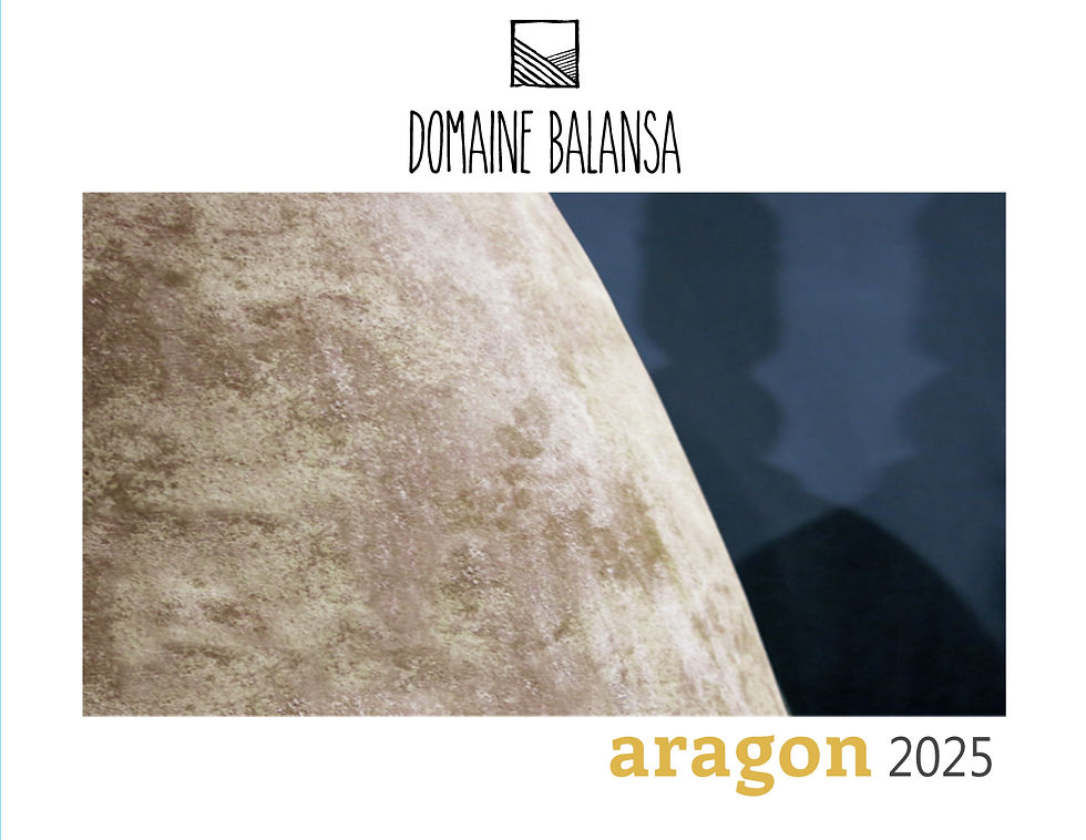 Miniature : aragon 2025