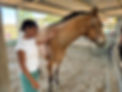 young-girl-with-horse.jpg