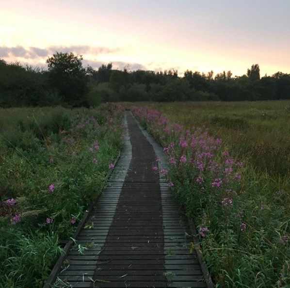 Board walk over the water meadow at Mannington to the pond and bird hide