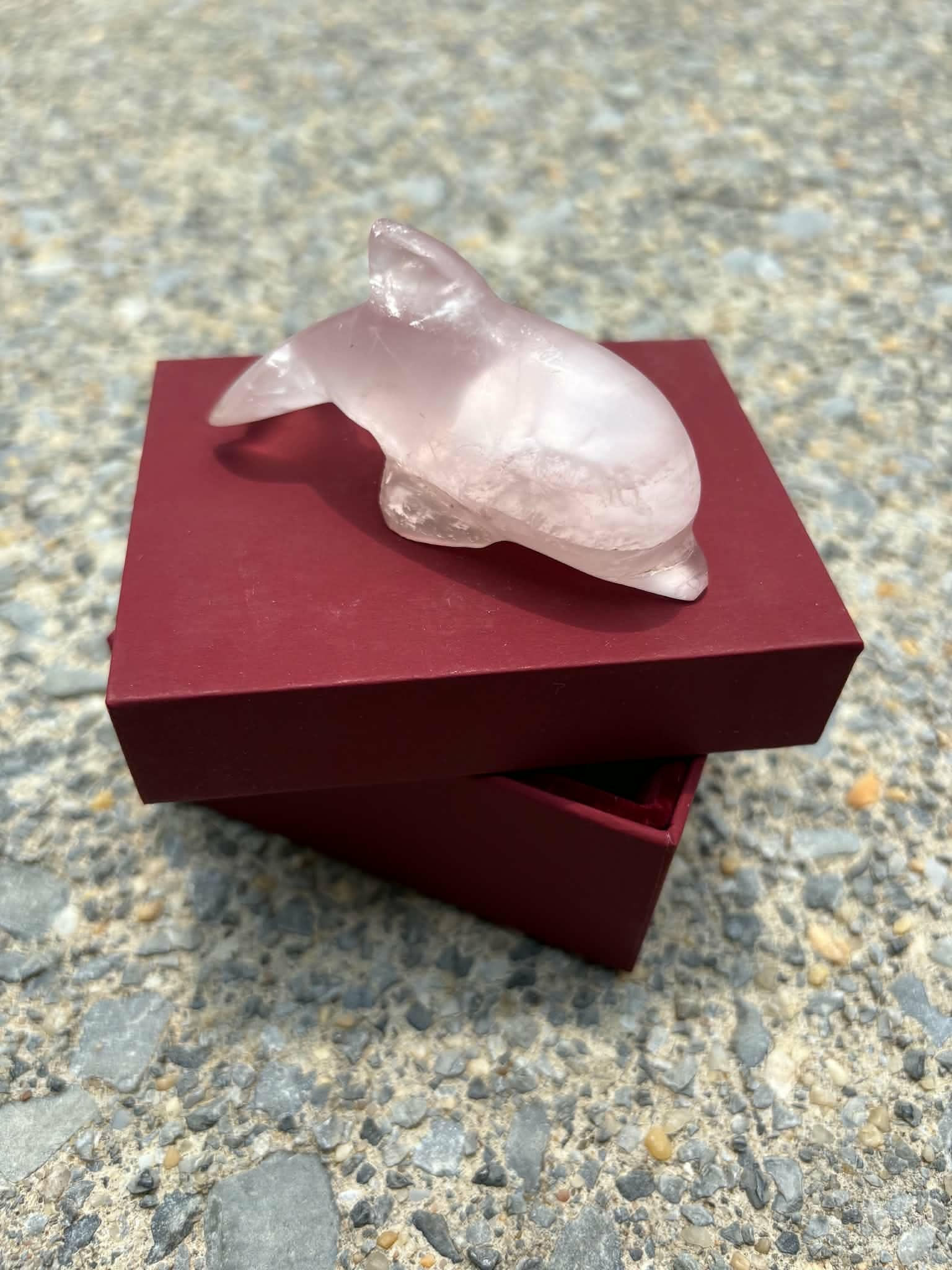 Rose Dolphin Quartz