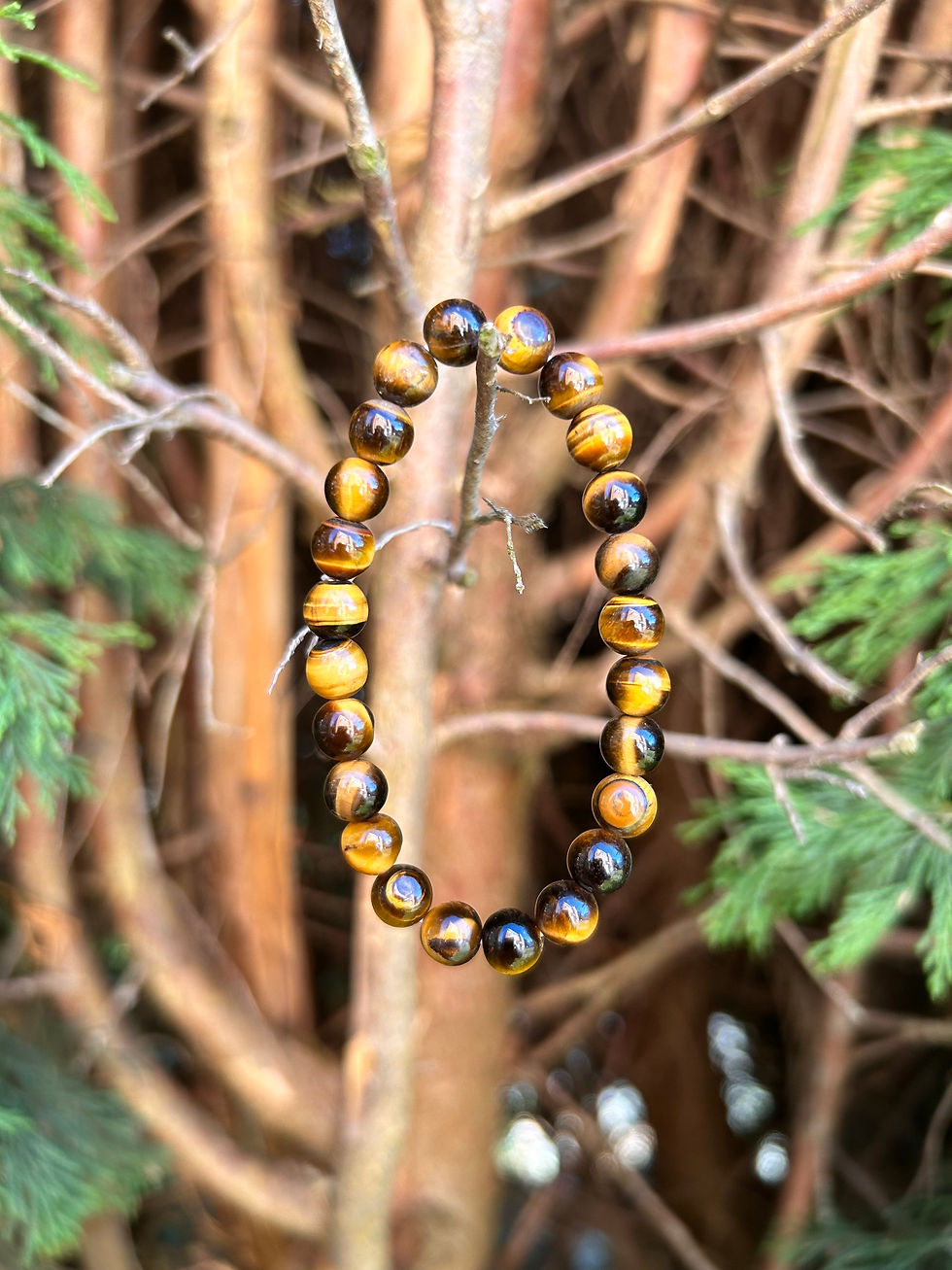 Thumbnail: Tigers eye bracelet / 6mm