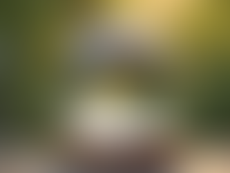 Exploring the Mystical Properties of the Angola Quartz Crystal Sphere