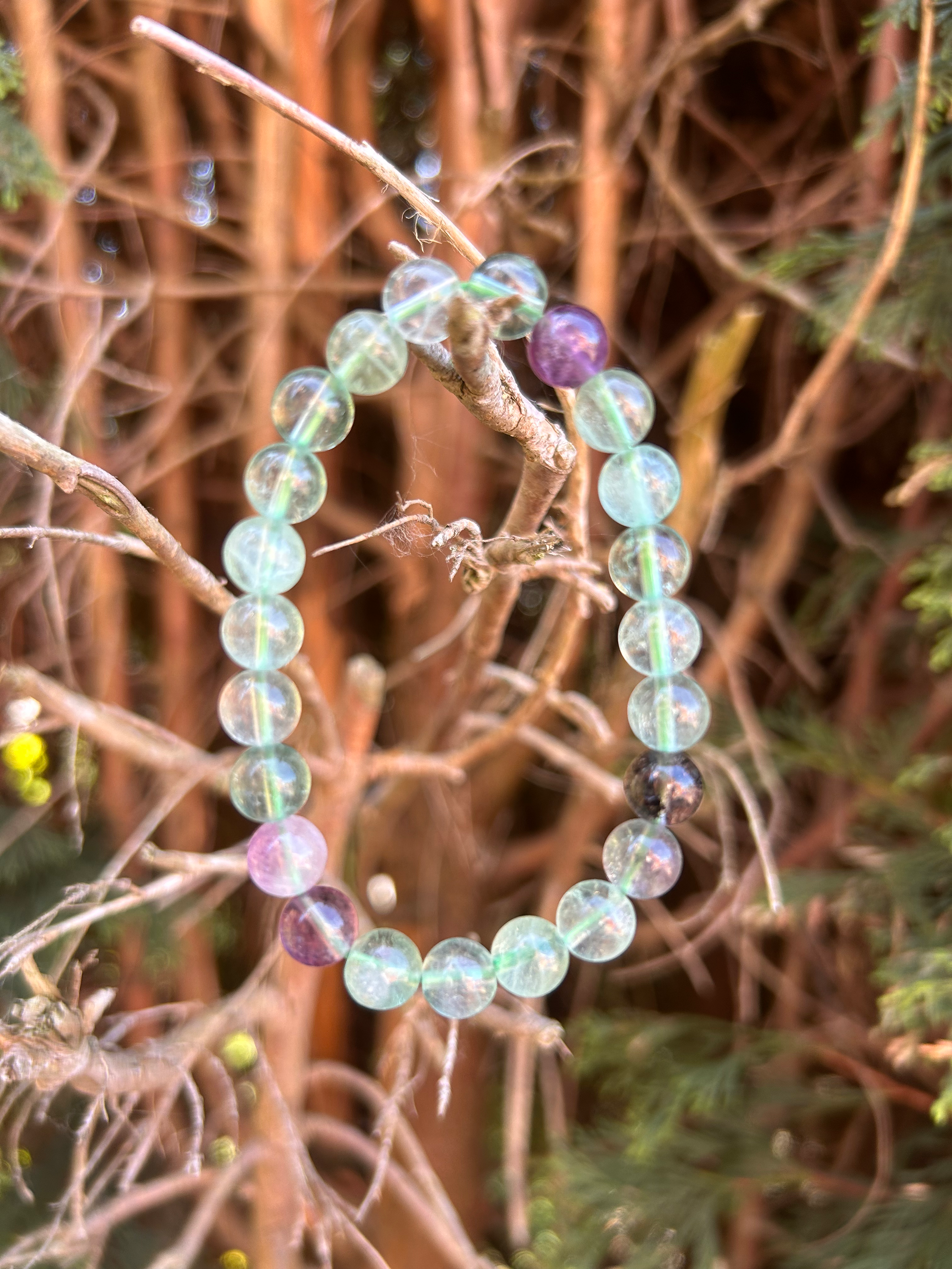 Green & Purple Fluorite Bracelet / 8 mm