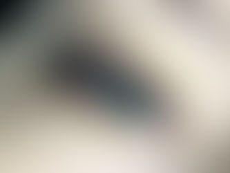 Brazilian Volume Lash Extensions