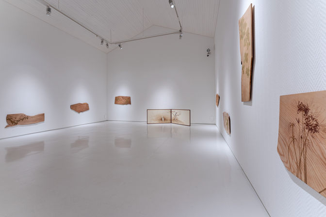 しばたゆり　マテリアルカラーズ　写真データ (8).jpg