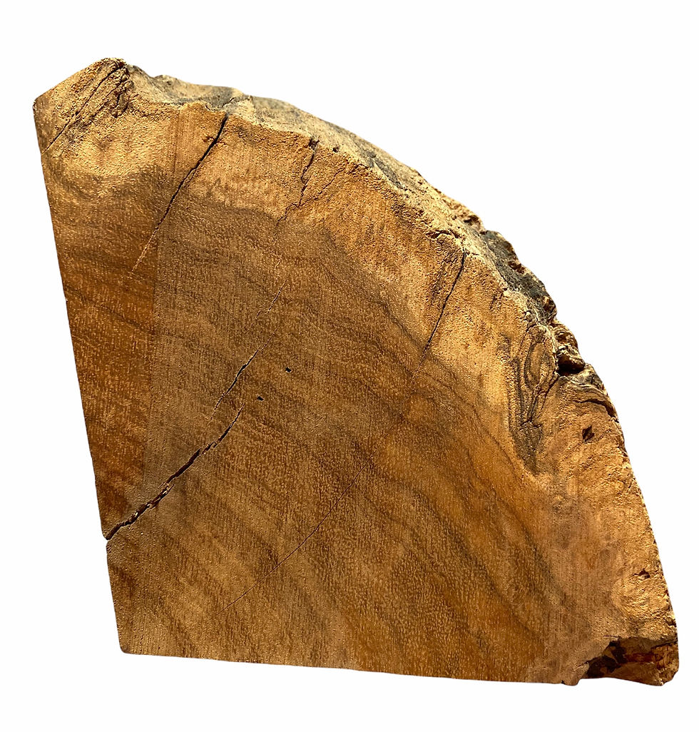 Thumbnail: Wild Tamarind Burl