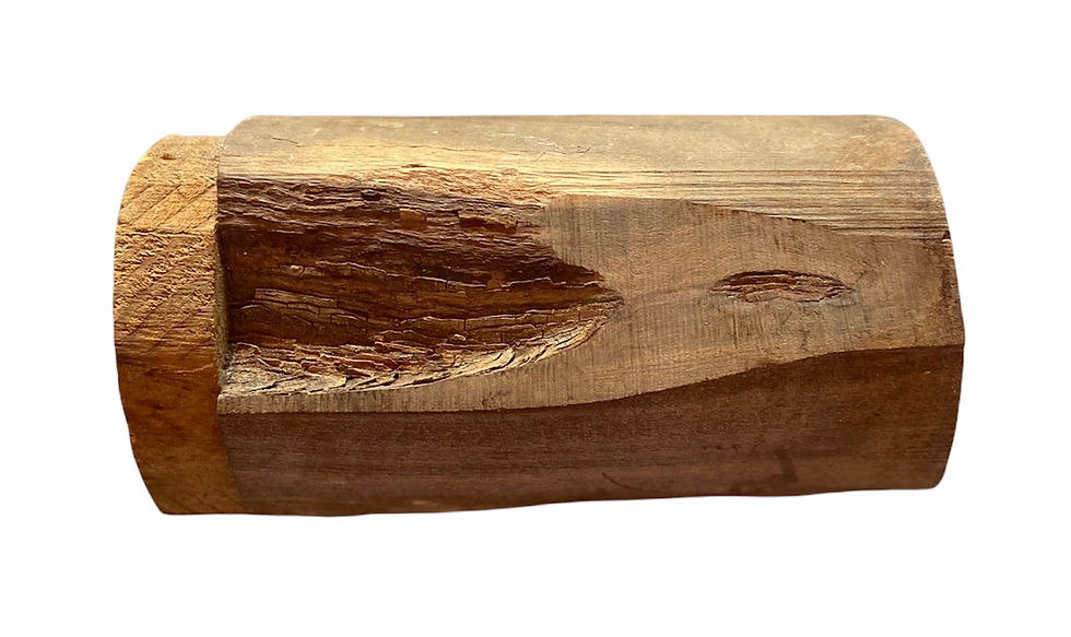 Thumbnail: Red Ironwood