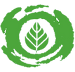GREEN IT EM IMPLEMENTAÇÃO