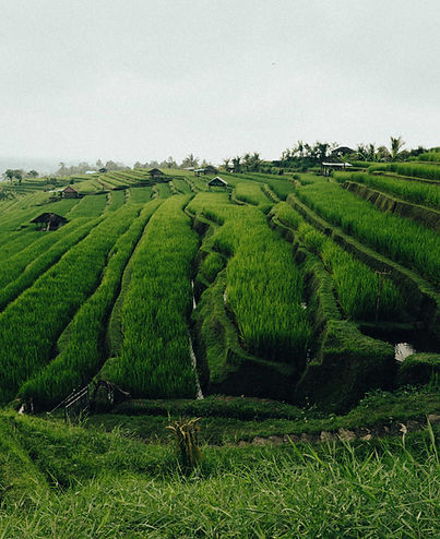 honlapra (1050 of 2338).jpg