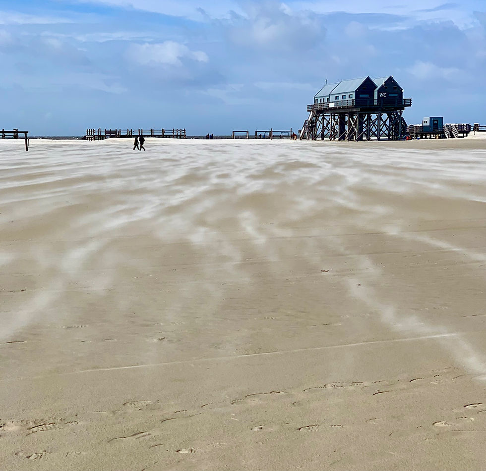 Eye-level view of a serene mountain landscape