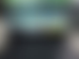 LHS Website on laptop monitor