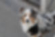 438246253_1523658725256349_599403449554169612_n (1).jpg