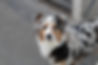 438246253_1523658725256349_599403449554169612_n (1).jpg
