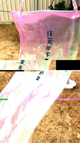 giphy-2.gif