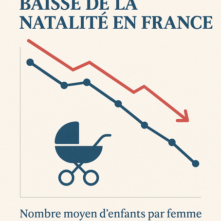 La France qui s'efface : démographie, le déni qui tue une nation