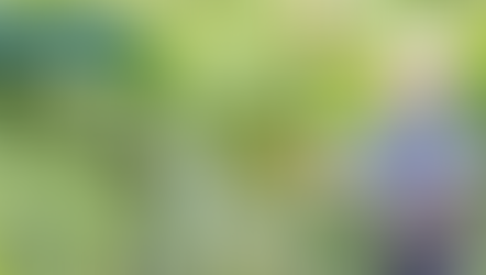 La biodynamie, l’agriculture qui soigne la Terre