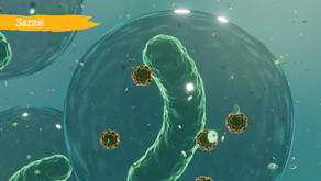 Le microbiote intestinal, un acteur majeur de votre santé