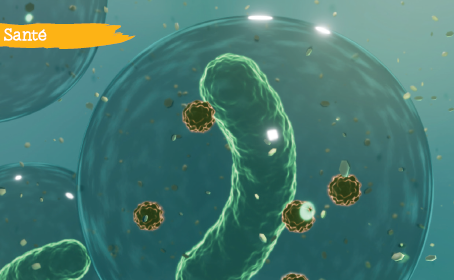 Le microbiote intestinal, un acteur majeur de votre santé