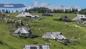 Et si on s’inspirait des éco-villages et co-habitats pour co-créer un nouveau futur ?