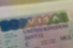 Visitor visa Vignette Stamp