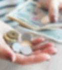 Fees logo.jpg