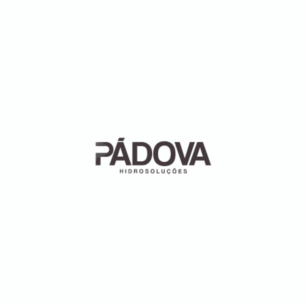 logo padova.png