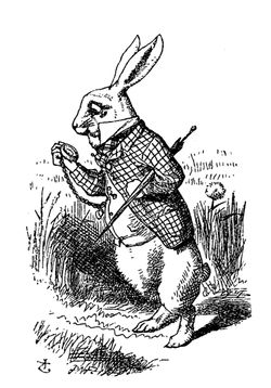 White Rabbit 1