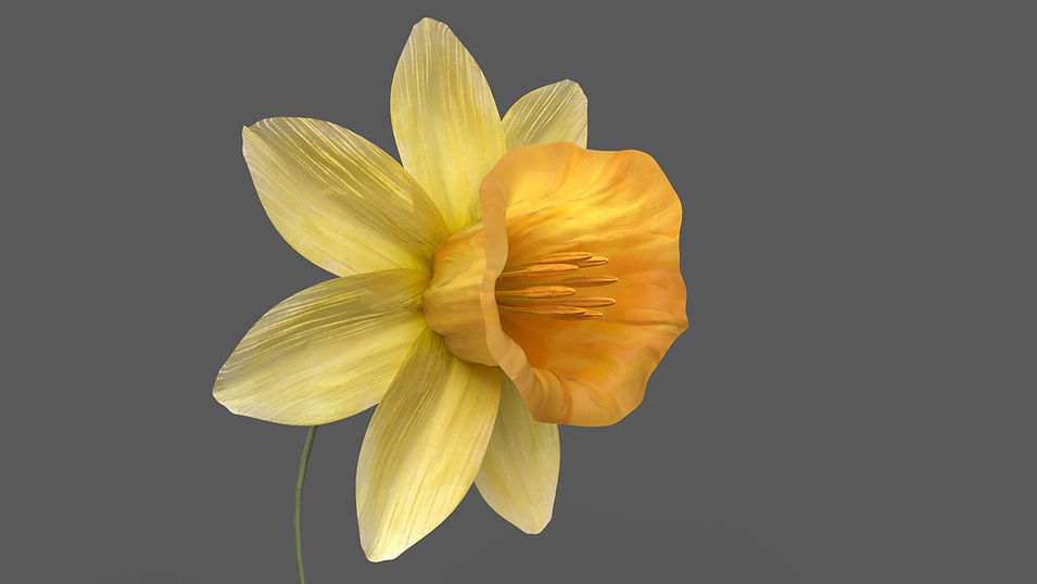 Daffodil_v3_sssmask (1).jpg