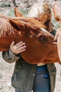woman hugging horse during equine assisted psychotherapy session.