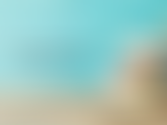 A Vision Turned Reality