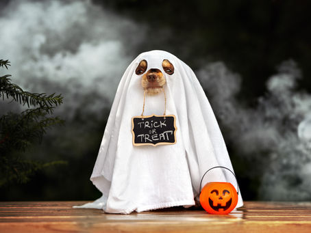 Dinnertime Storytelling Prompts #18-19