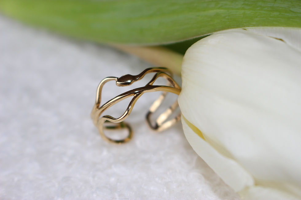 Miniature : Bague Serpent