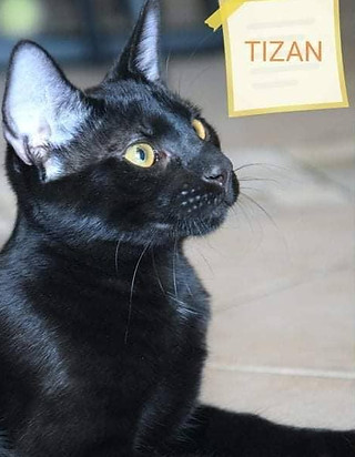 Tizan.jpg