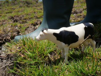 TREMPETTE! à Saint-Jospeh