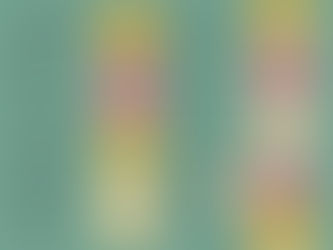 Programmation de novembre