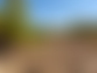 Viñedos de la Bodega García de Lara