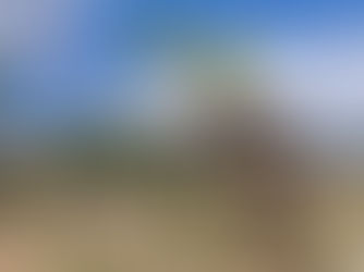 SOTO Y MANRIQUE, VINOS DE CEBREROS