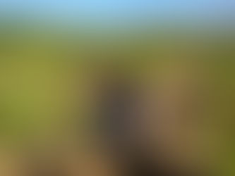 Mario Rovira Roldán