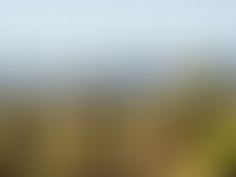 Viñas de bodega Akilia de Mario Rovira Roldán